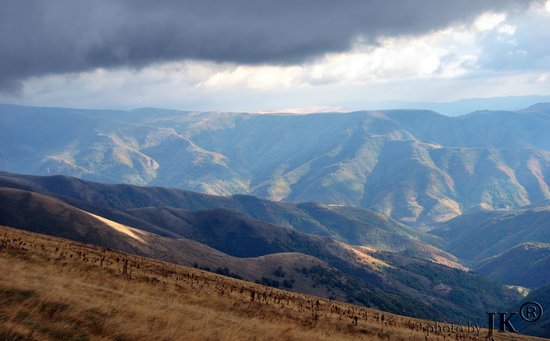 filename dsc 0748 jpg