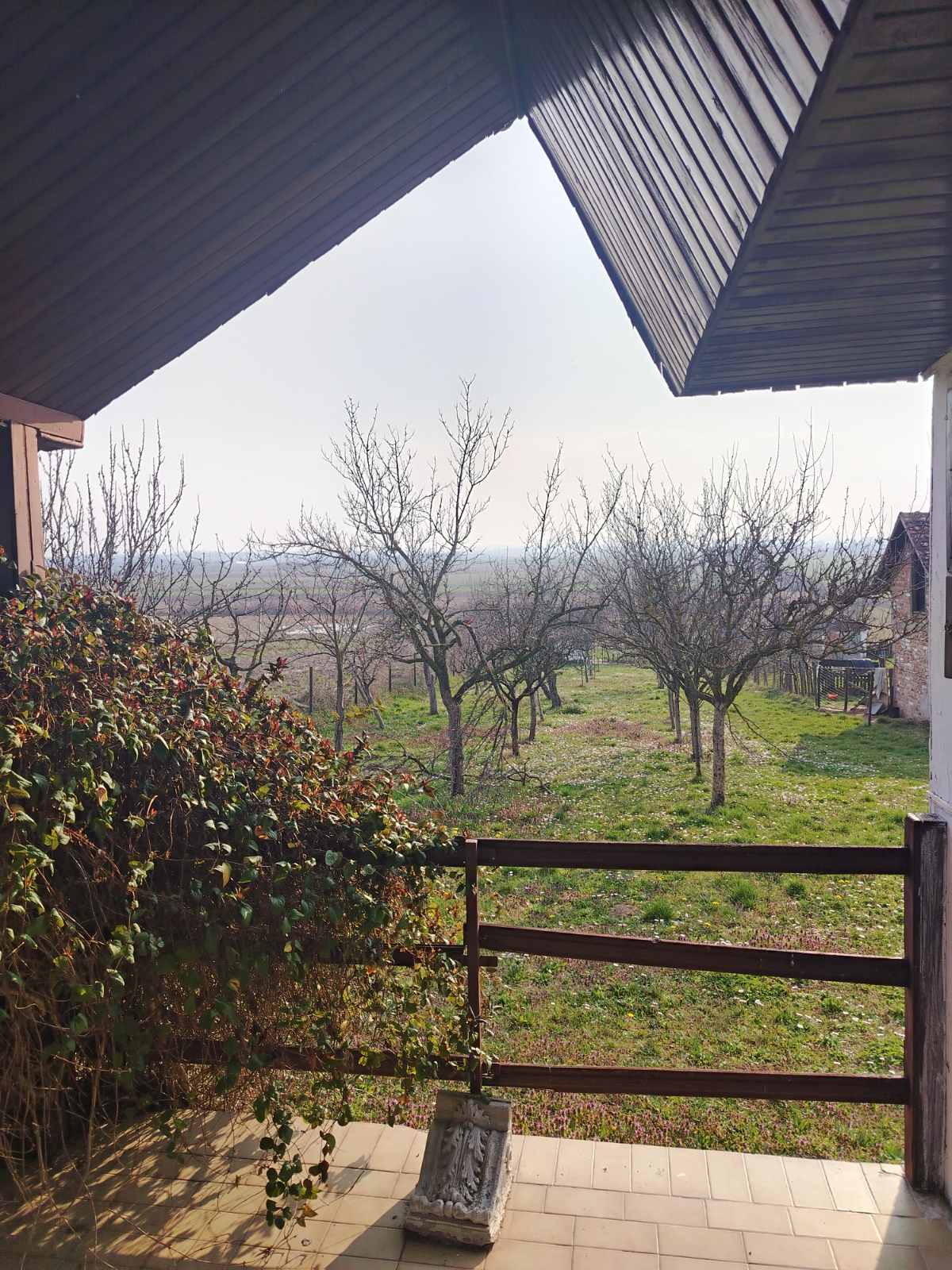 viber slika 2026 03 04 10 06 25 152