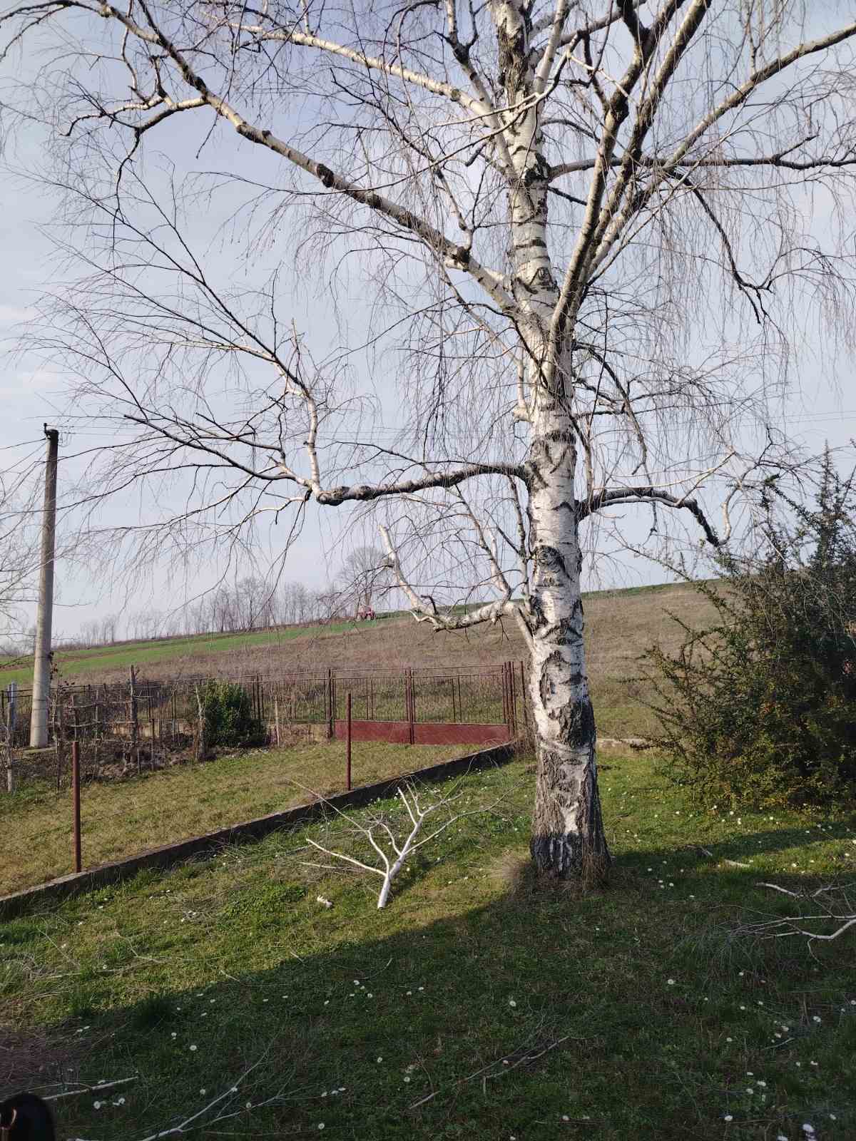 viber slika 2026 03 04 10 06 25 301