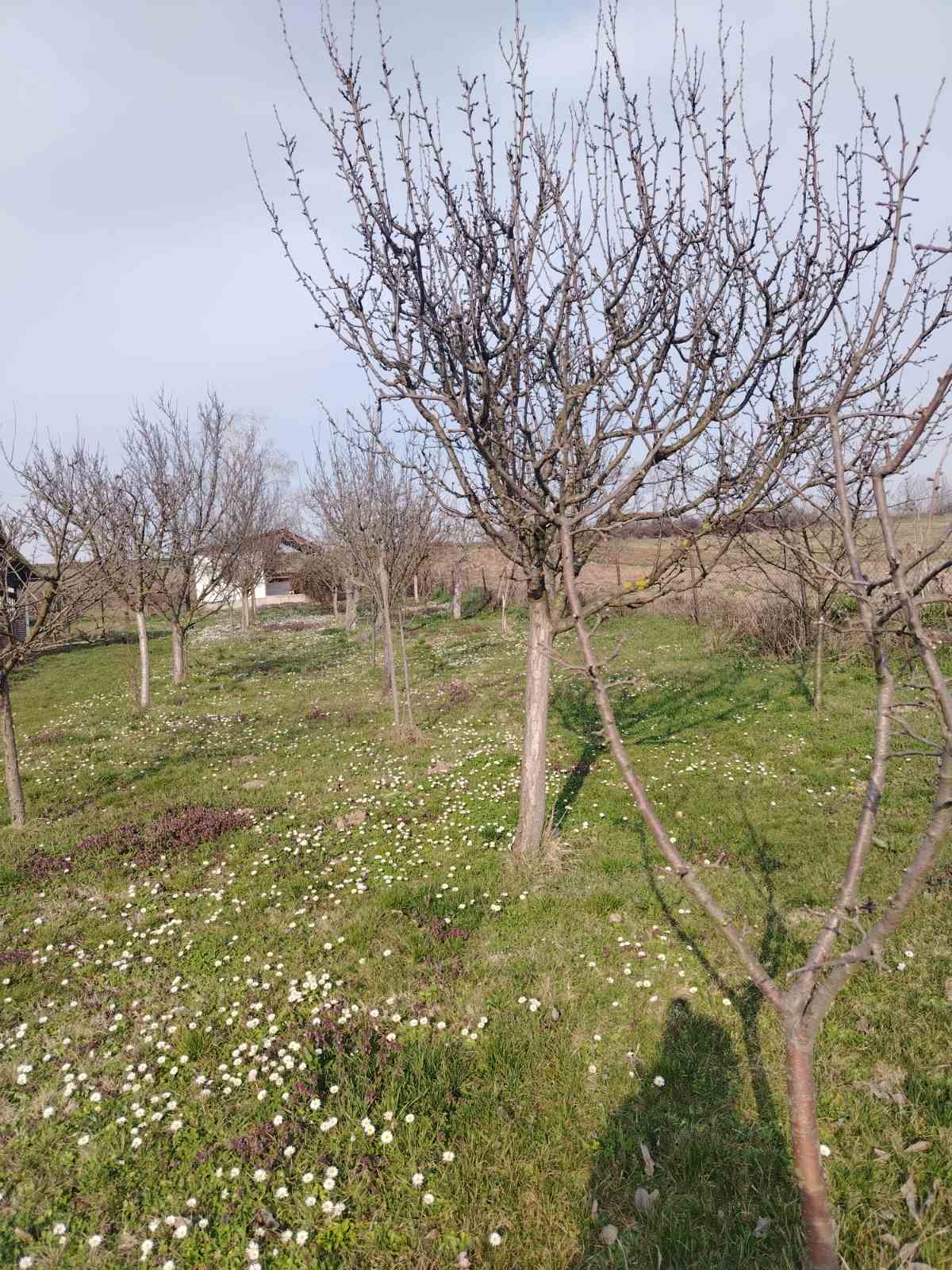 viber slika 2026 03 04 10 06 26 939