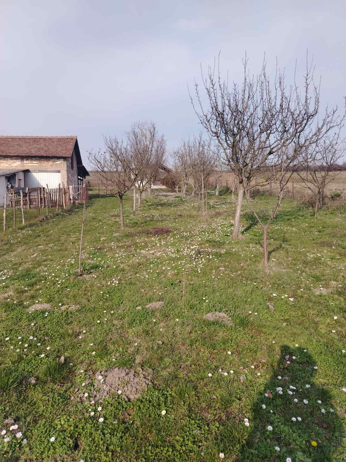 viber slika 2026 03 04 10 06 27 227