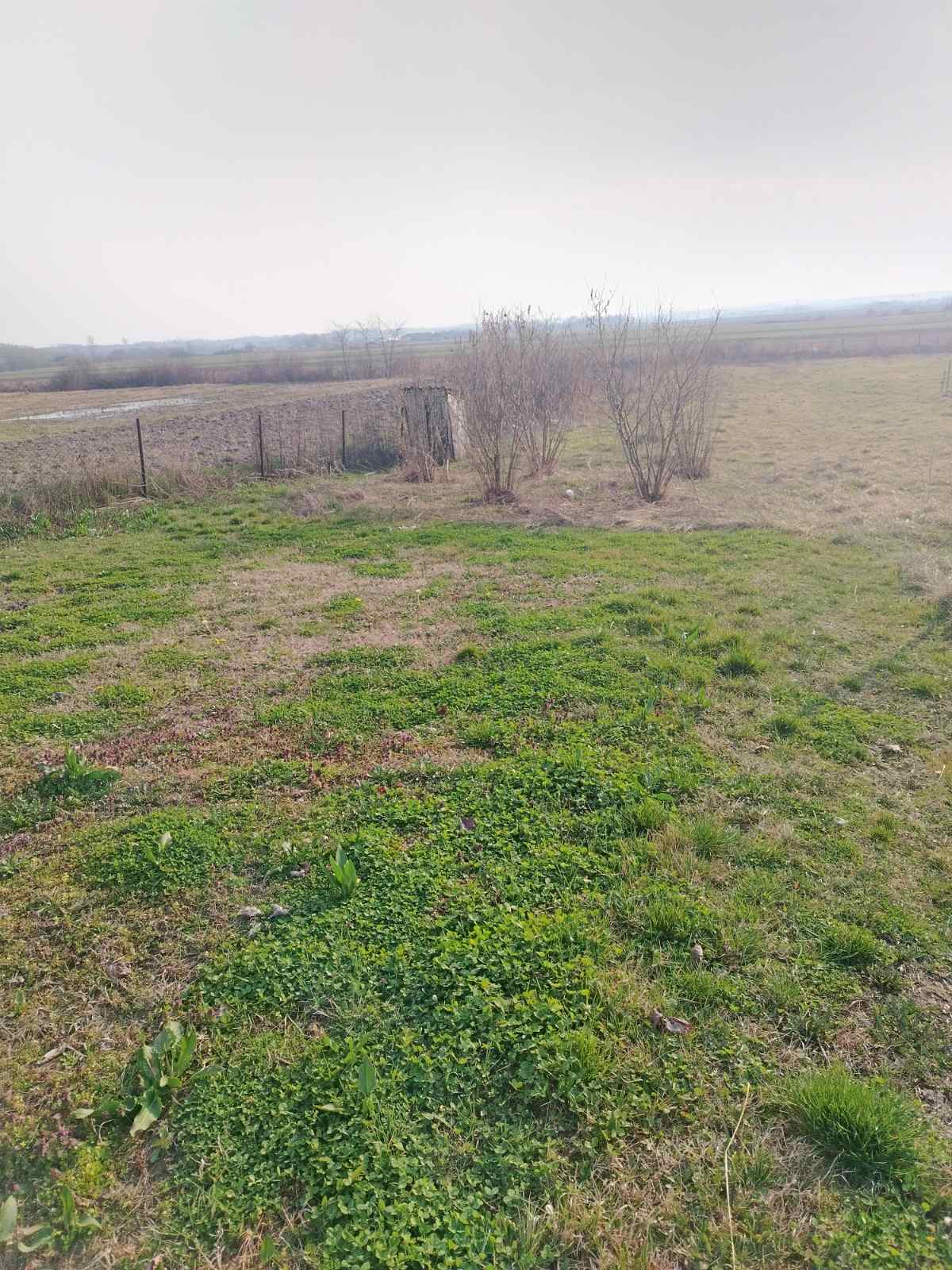 viber slika 2026 03 04 10 06 29 046