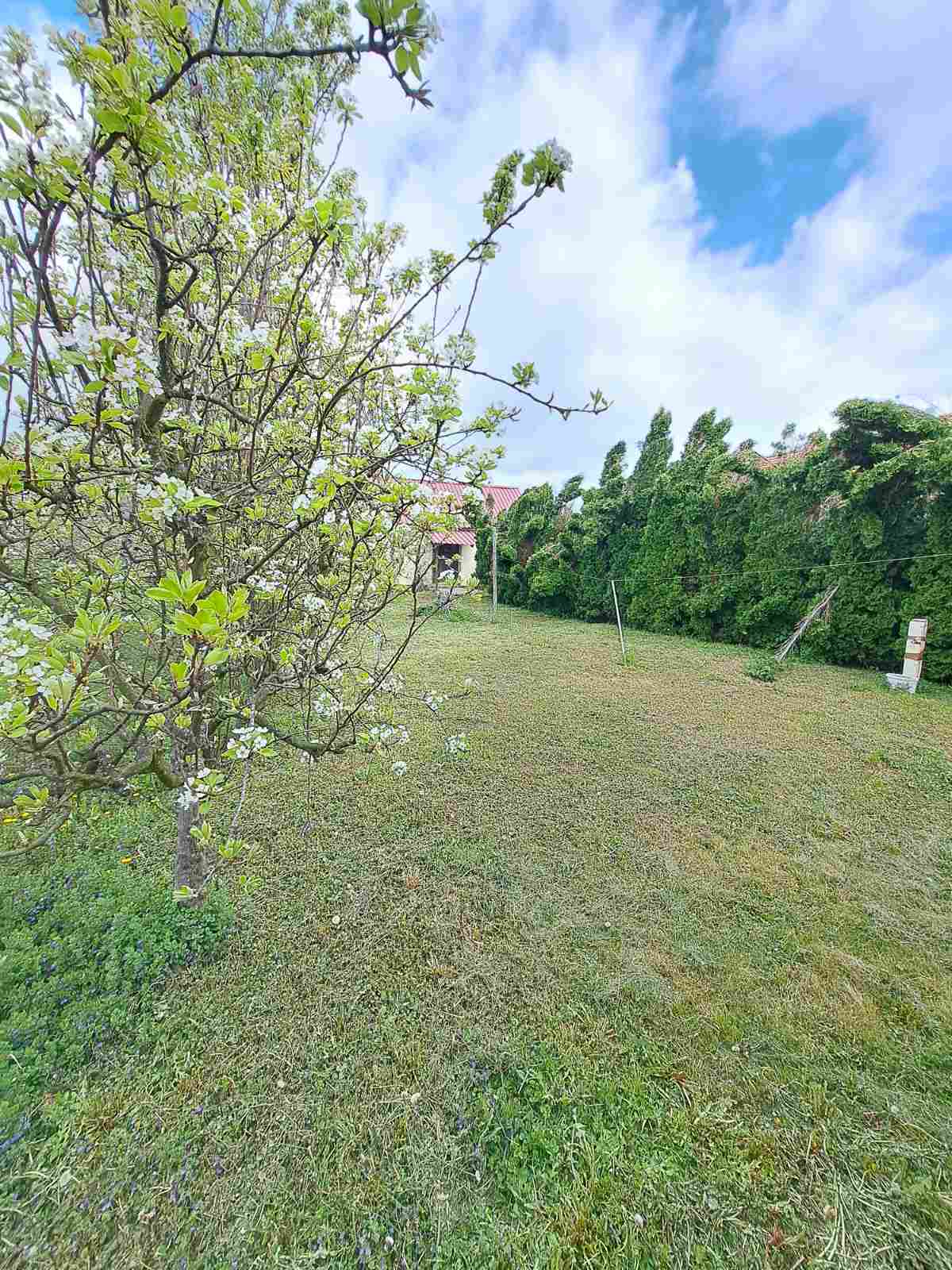 viber slika 2026 04 11 15 53 15 808