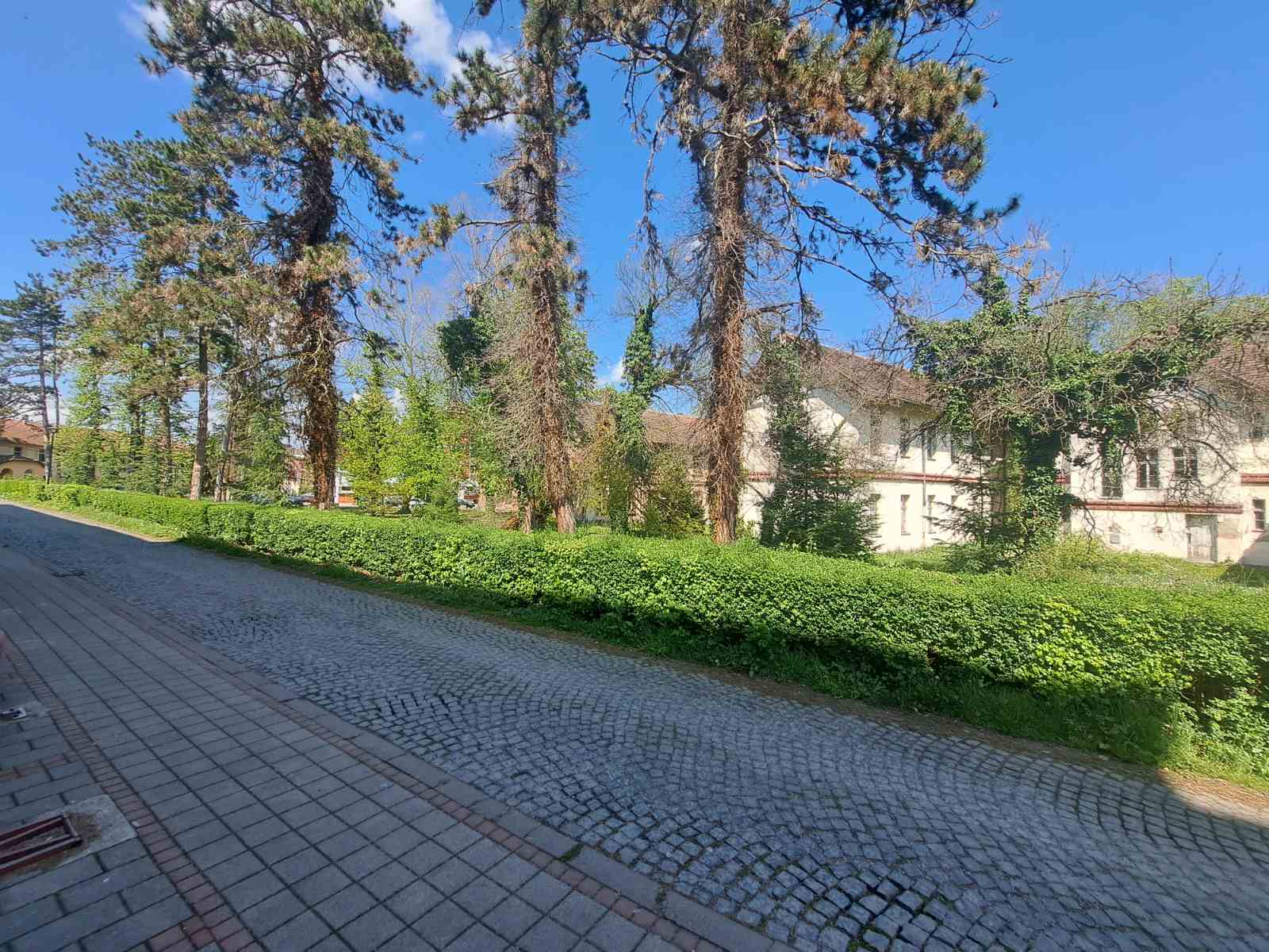 viber slika 2026 04 17 14 25 07 116